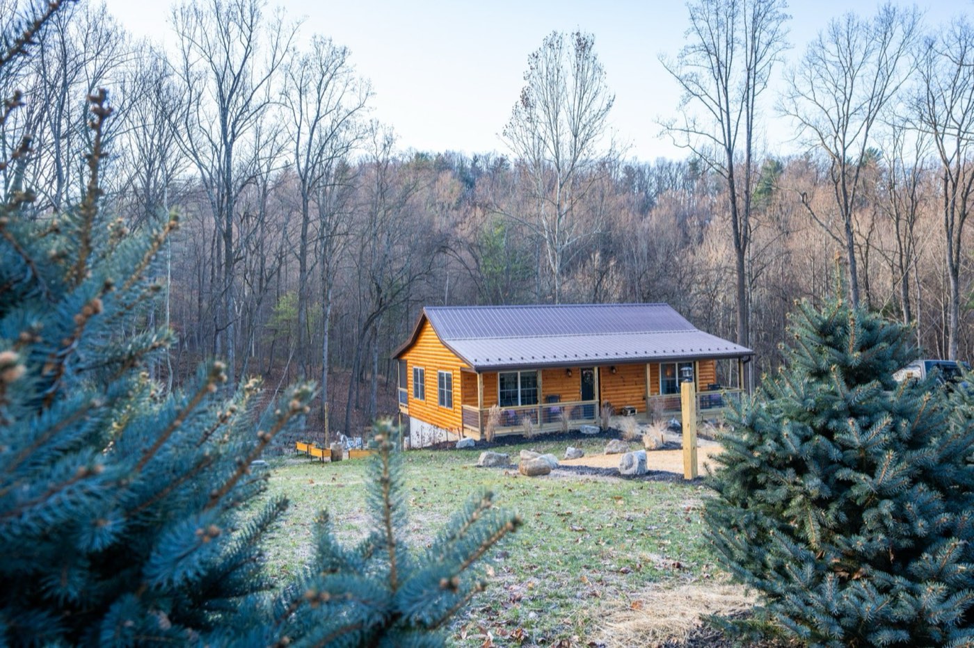 Cabin from the trees