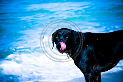 IMG_0775