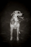 IMG_9879-4