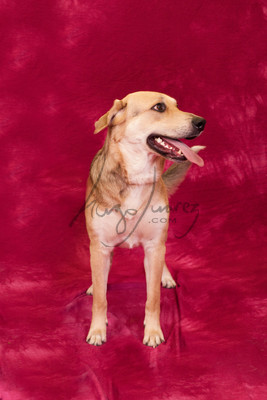 IMG_9879